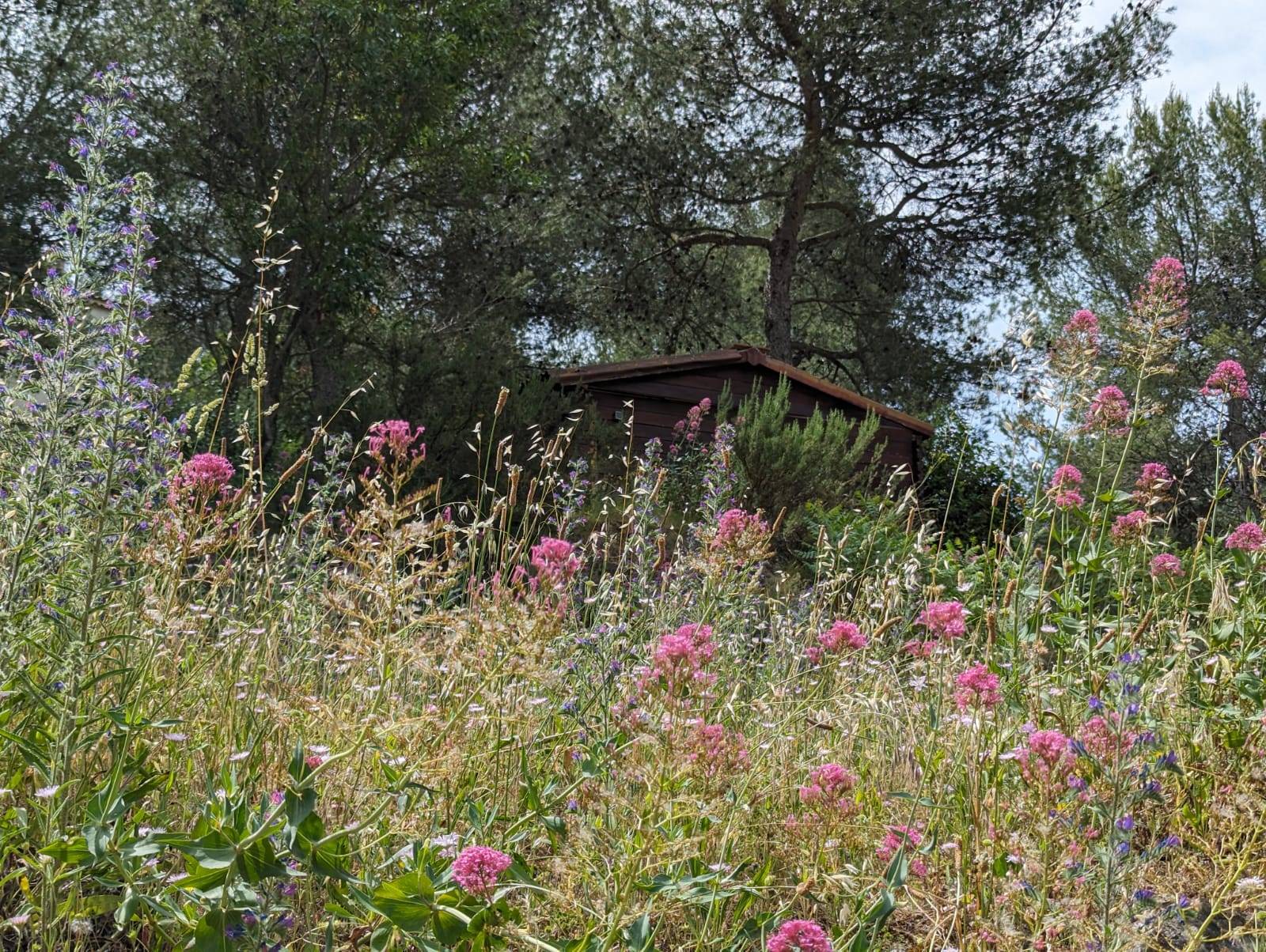 AU COEUR DE LA NATURE