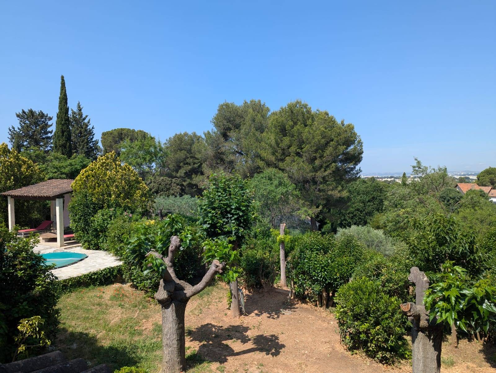 piscine sud ouest jardin arboré