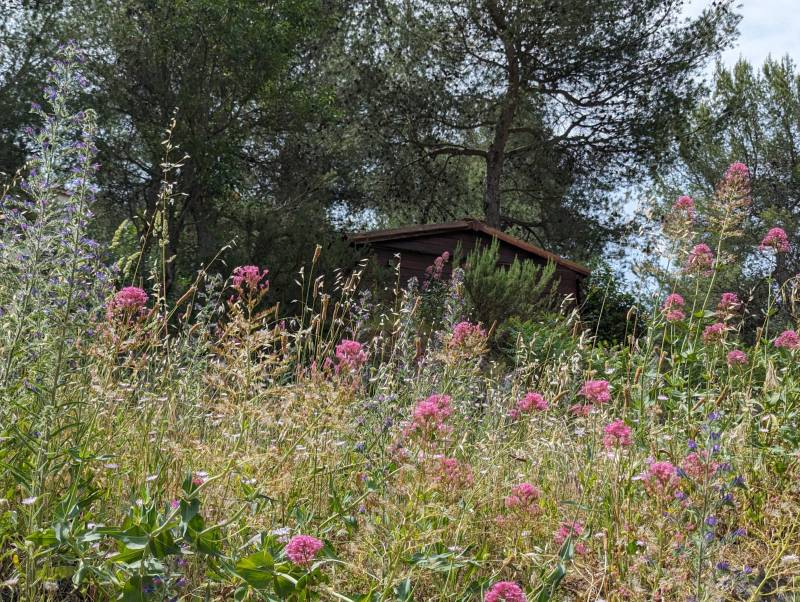 AU COEUR DE LA NATURE