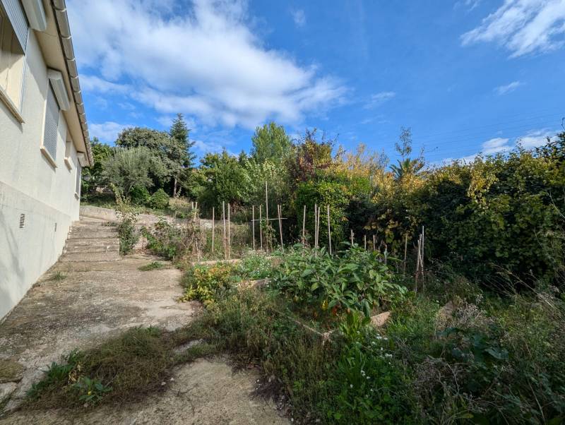 jardin arboré sans vis à vis